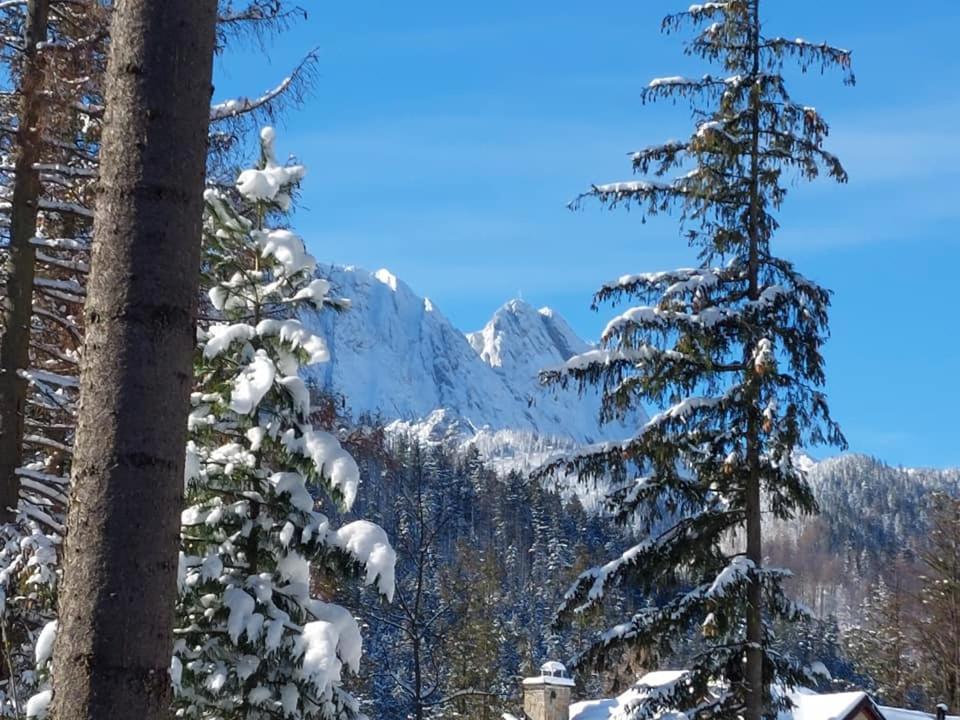 Dom Pod Skocznia Lejlighed Zakopane Eksteriør billede
