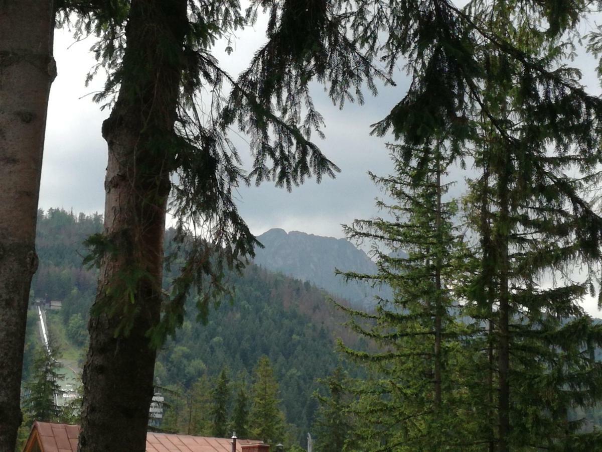 Dom Pod Skocznia Lejlighed Zakopane Eksteriør billede