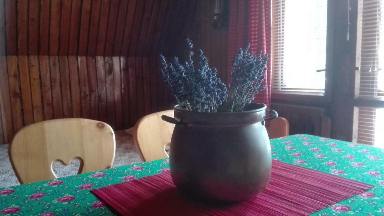 Dom Pod Skocznia Lejlighed Zakopane Eksteriør billede