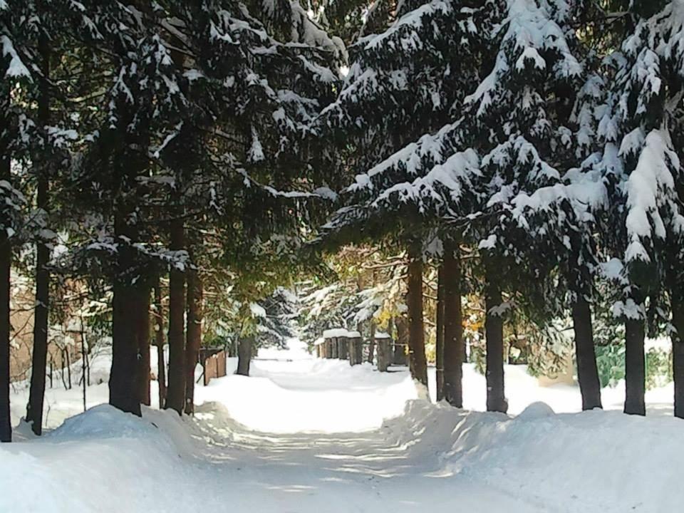 Dom Pod Skocznia Lejlighed Zakopane Eksteriør billede
